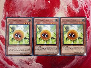 Naturia Marron Normal 3 sheets