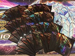 40 Dragon Sleeves