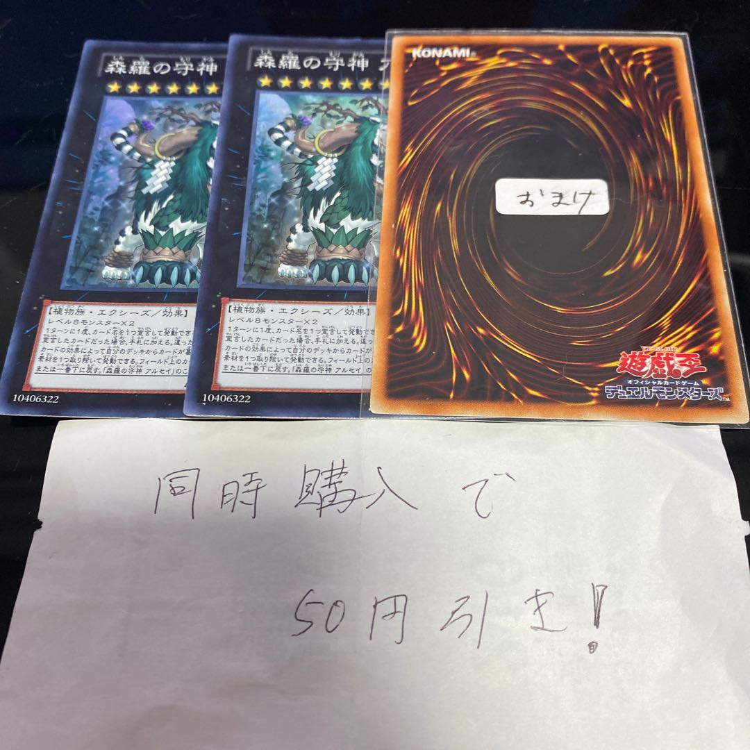 森羅の守神 アルセイ スーパーレア　13560