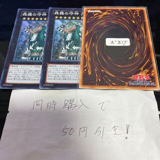 森羅の守神 アルセイ スーパーレア　13560