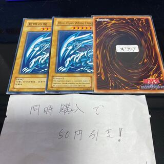 青眼の白龍　海外　13561