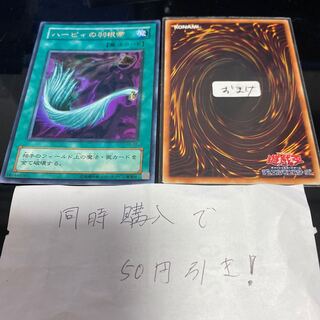 ハーピィの羽根帚　13576