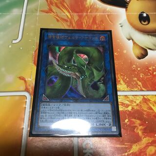 捕食植物ヴェルテアナコンダ　ウルトラレア