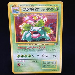 Venusaur Old Back Kira