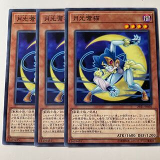 5902 月光蒼猫 ノーマル JP050