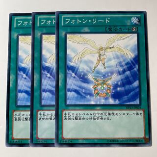 5921 フォトン・リード ノーマル JP024