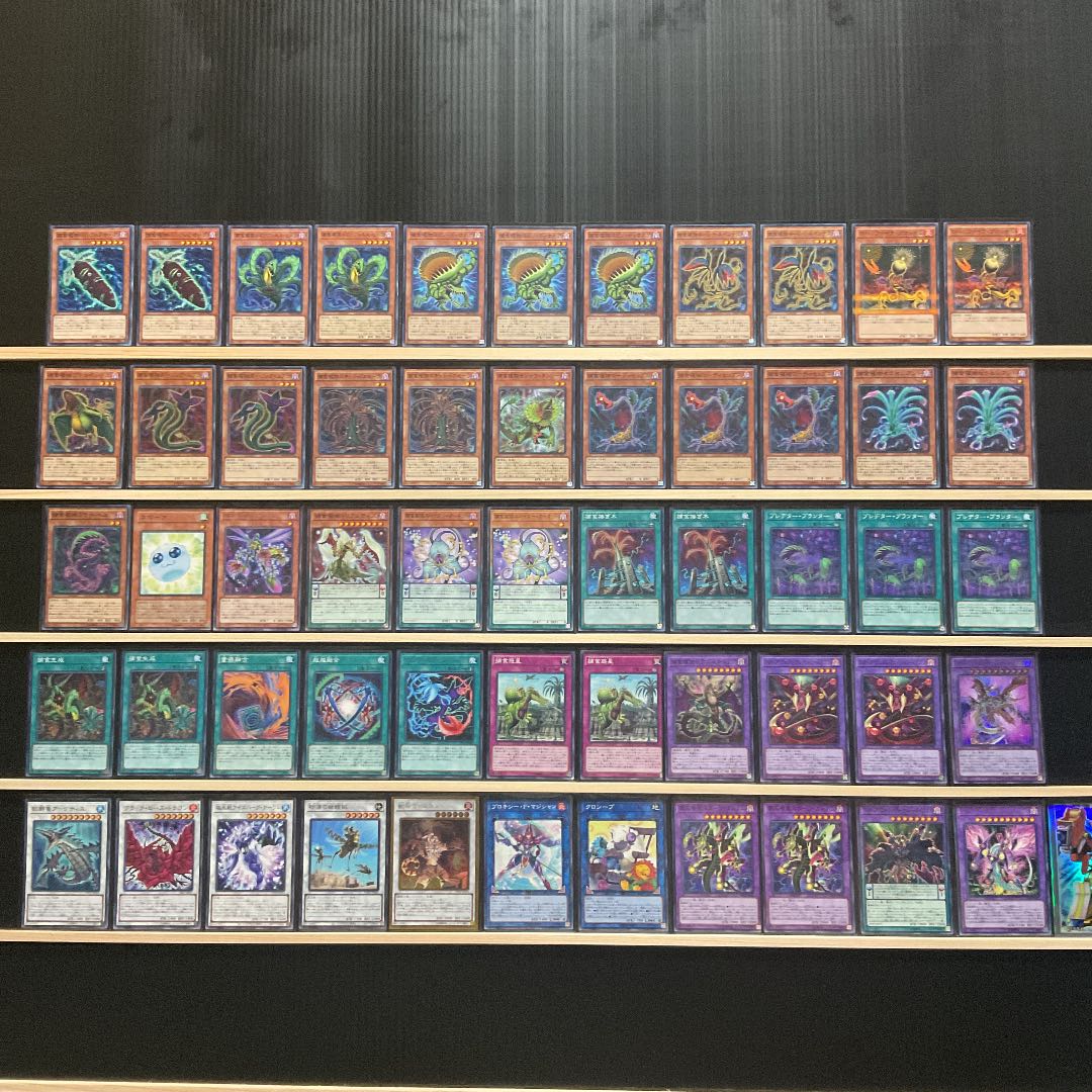 Yu-Gi-Oh Prey Upon Plant Deck Rosaan 40 Extra 15 with Sleeve Predaplant Dragostapelia