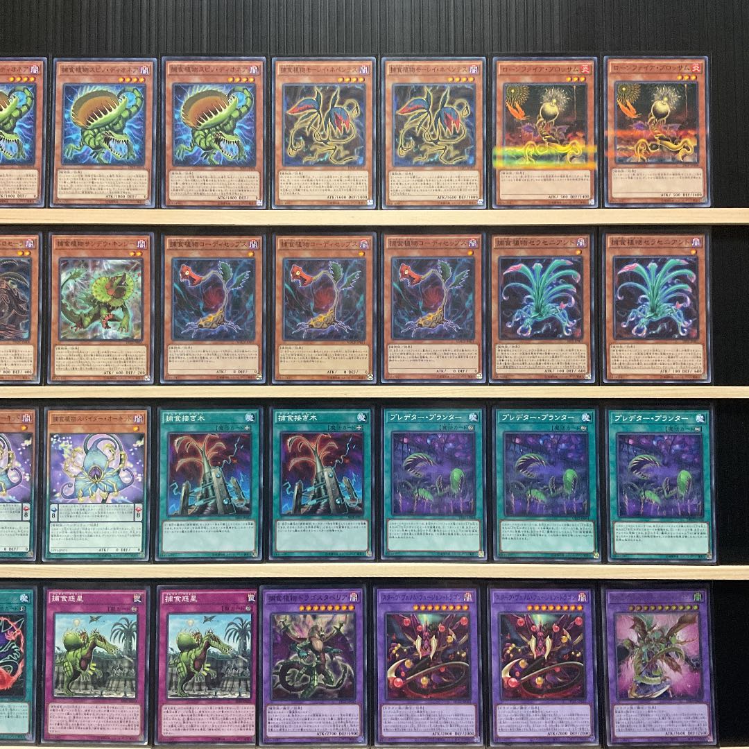 Yu-Gi-Oh Prey Upon Plant Deck Rosaan 40 Extra 15 with Sleeve Predaplant Dragostapelia