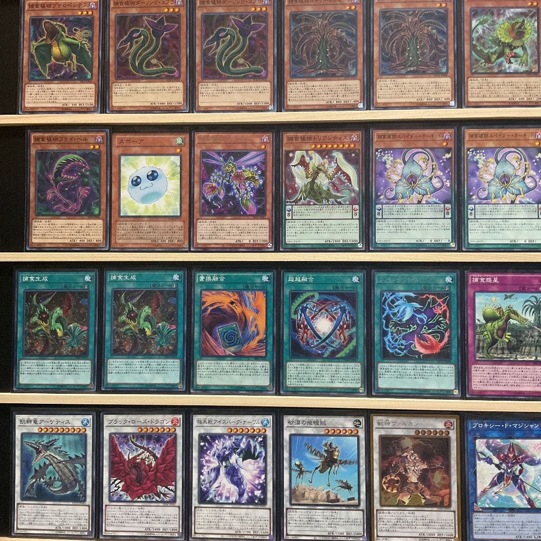 Yu-Gi-Oh Prey Upon Plant Deck Rosaan 40 Extra 15 with Sleeve Predaplant Dragostapelia