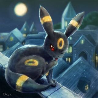 Risotto様専用　10パック