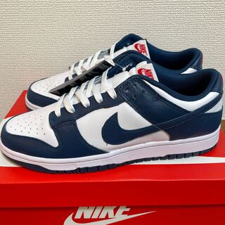 Nike Dunk Low "Valerian Blue" 28cm 28cm