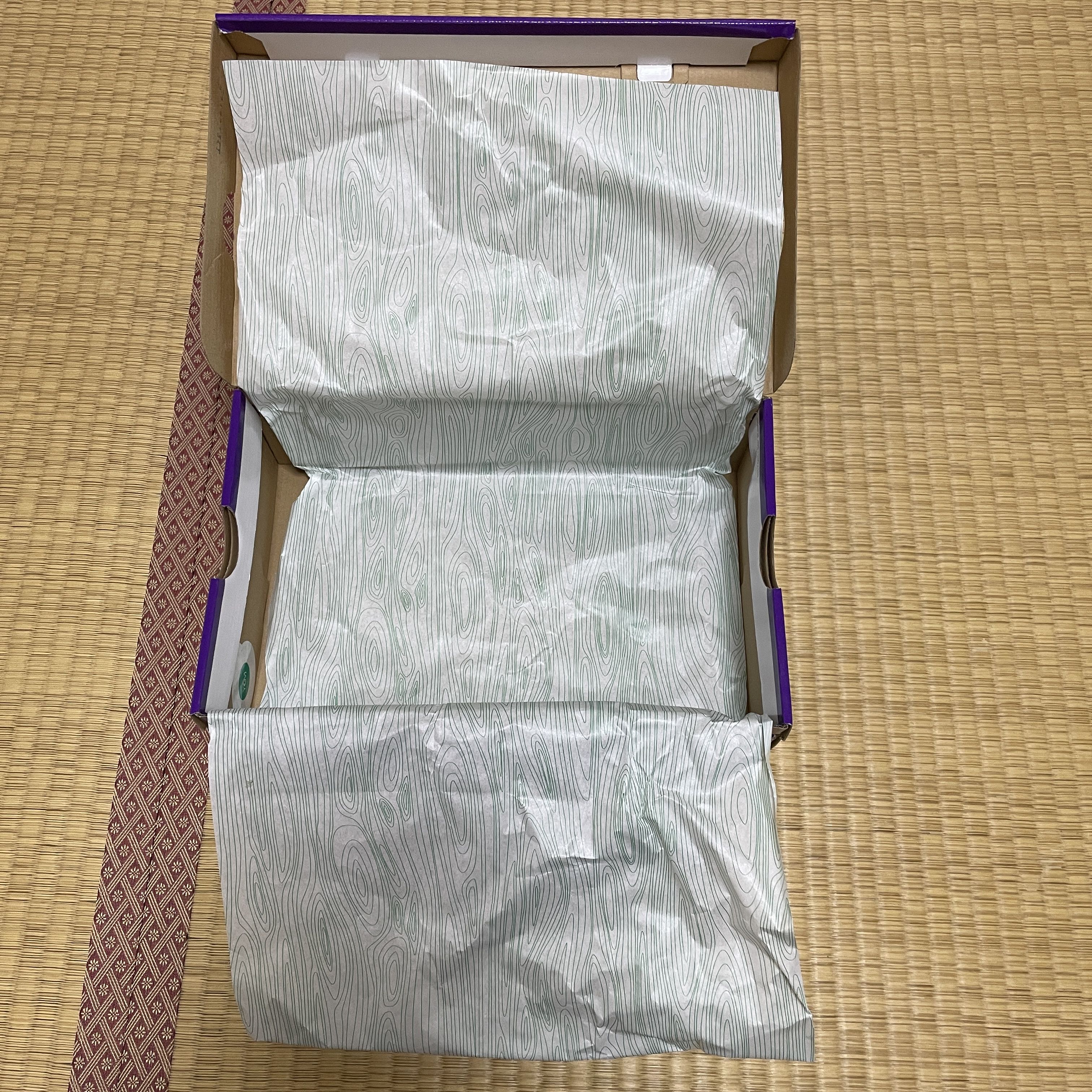 Coupon Eligible NIKE SB Dunk Low PRO St. Patricks Day Shamrock 26cm