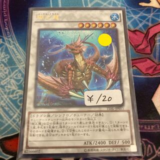 瑚之龍 ウルトラレア　1枚　特価品