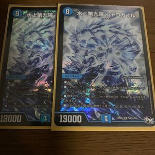 Waterjo Ninth Institute Shakogile