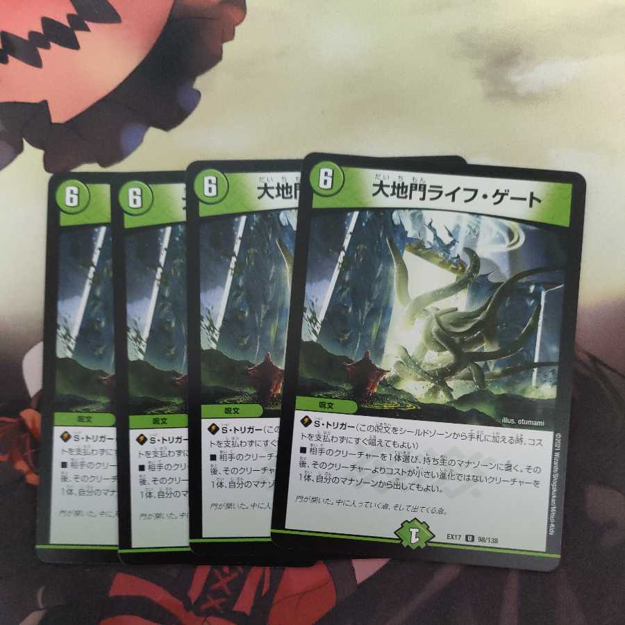 Large Gate Life Gate