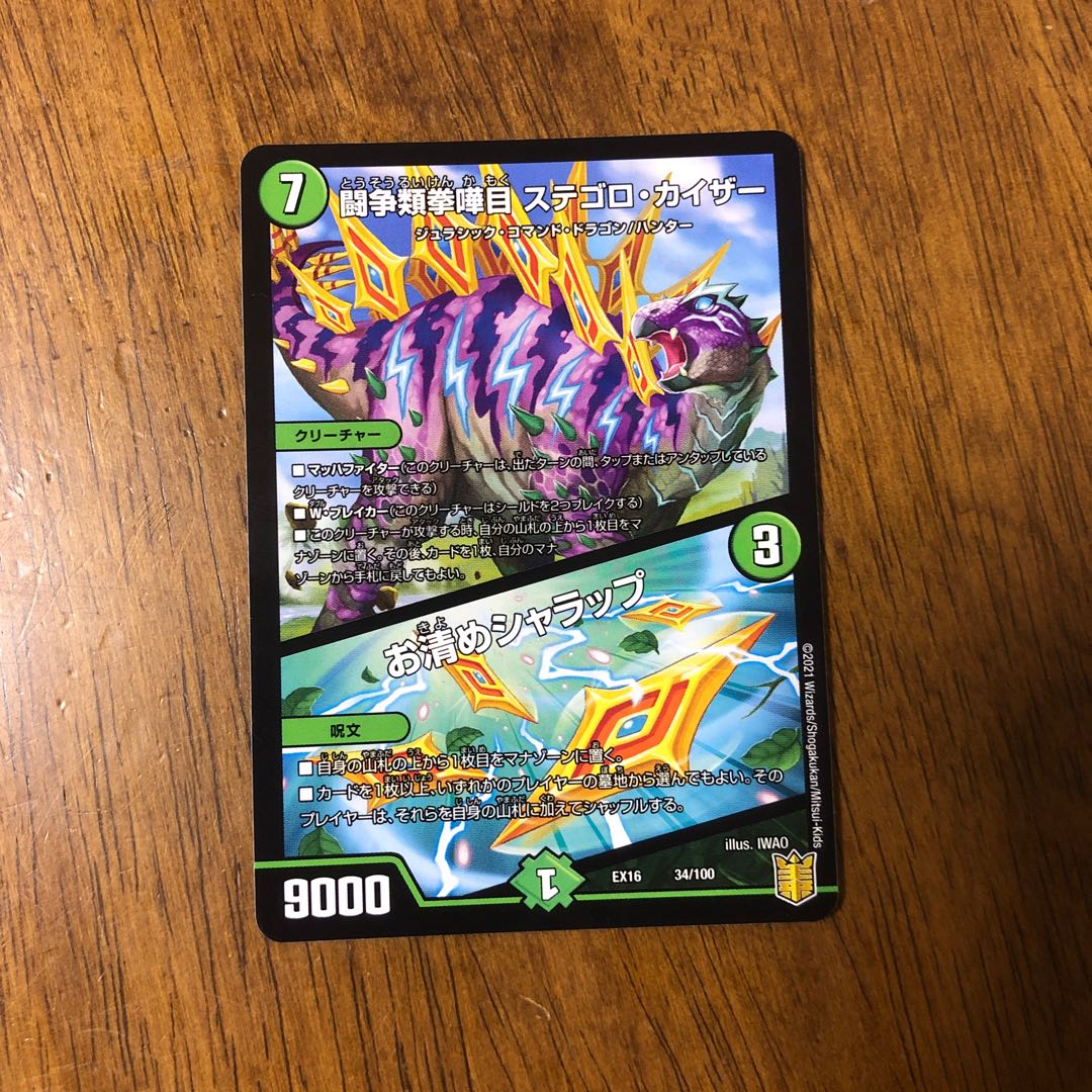 闘争類拳嘩目 ステゴロ・カイザー｜お清めシャラップ