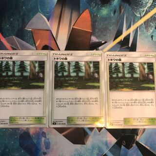 トキワの森 ３枚