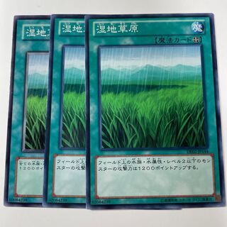 5936 湿地草原 ノーマル JP144