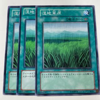 5939 湿地草原 ノーマル JP144