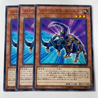 5945 リバーシブル・ビートル ノーマル JP035