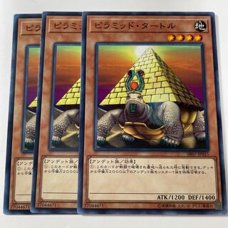 5970 Pyramid-Turtle ☆8139