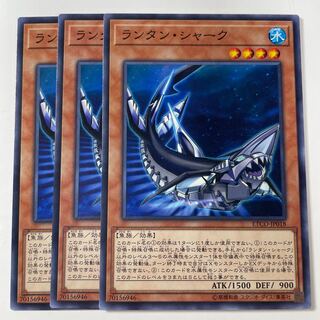 5978 Lantern-Shark ☆8149
