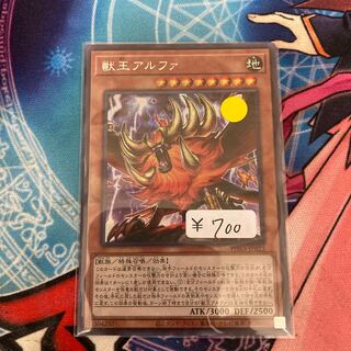 dedicated 1枚