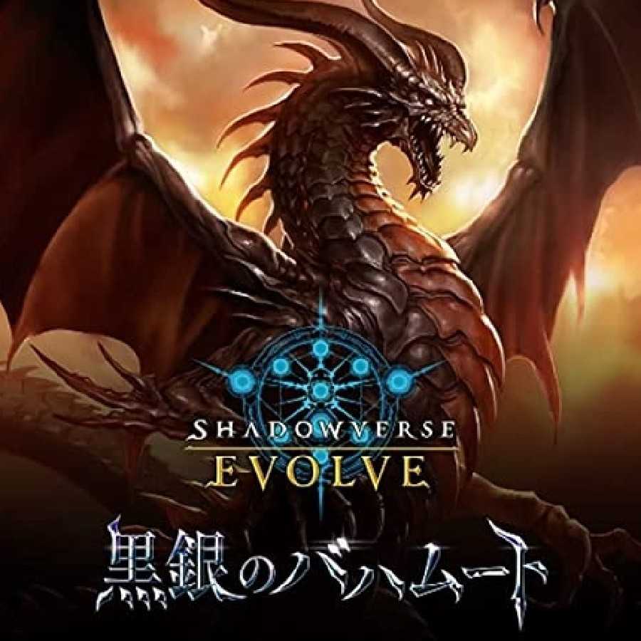 モンプチ様専用  3box 1枚