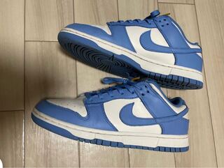 Nike WMNS Dunk Low "Coast" Dunk Coast 27.5cm