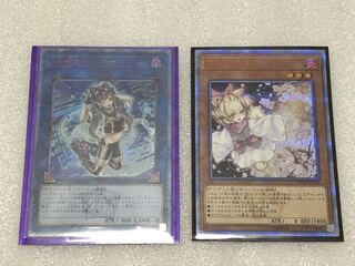 Exclusive for askuu Ash Blossom & Joyous Spring20th Mascarene 20th Set