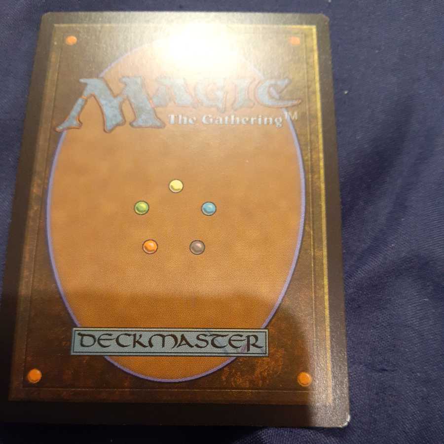 Carpet of Flowers Foil