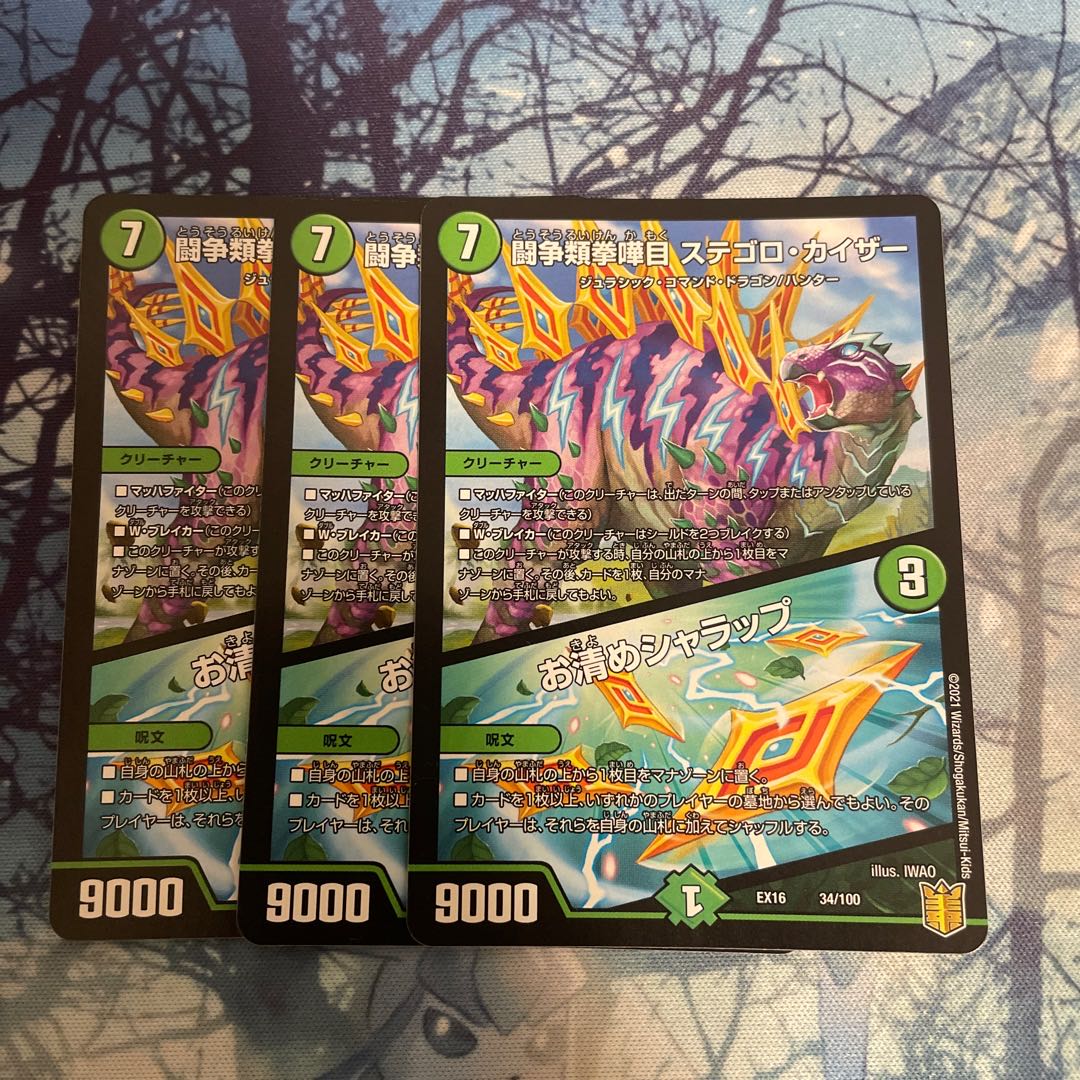 闘争類拳嘩目 ステゴロ・カイザー｜お清めシャラップ