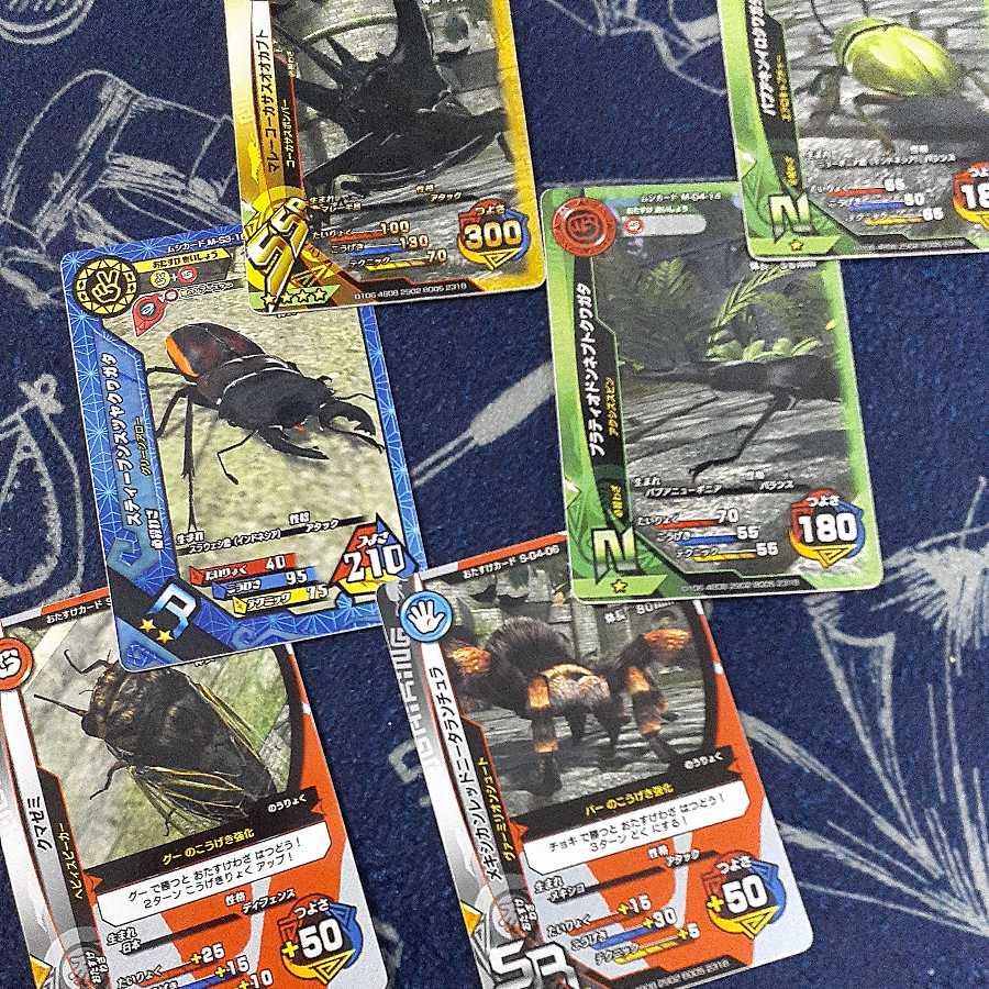 Insect King Tarantula Bear Zebra Stag Beetle