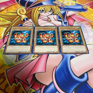 ベビードラゴン