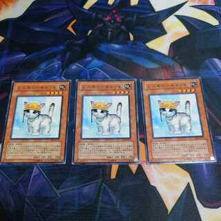 Rescue Cat Normal Scratched Special Price Set of 3