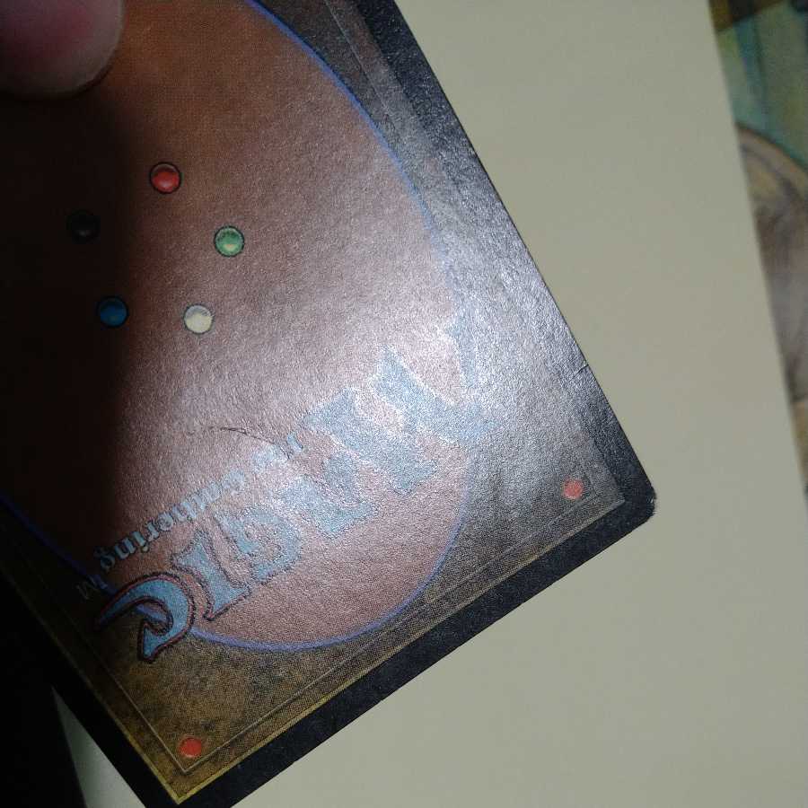 Gilded Drake Japanese Special Price