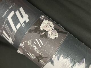 ガンナガン プレイマット ナトリ 新品 未使用