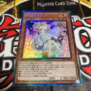 Yu-Gi-Oh! Ash Blossom & Joyous Spring Collector's Rare