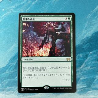 MTG Splendid Reclamation