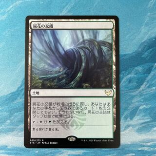 MTG Necroblossom Snarl