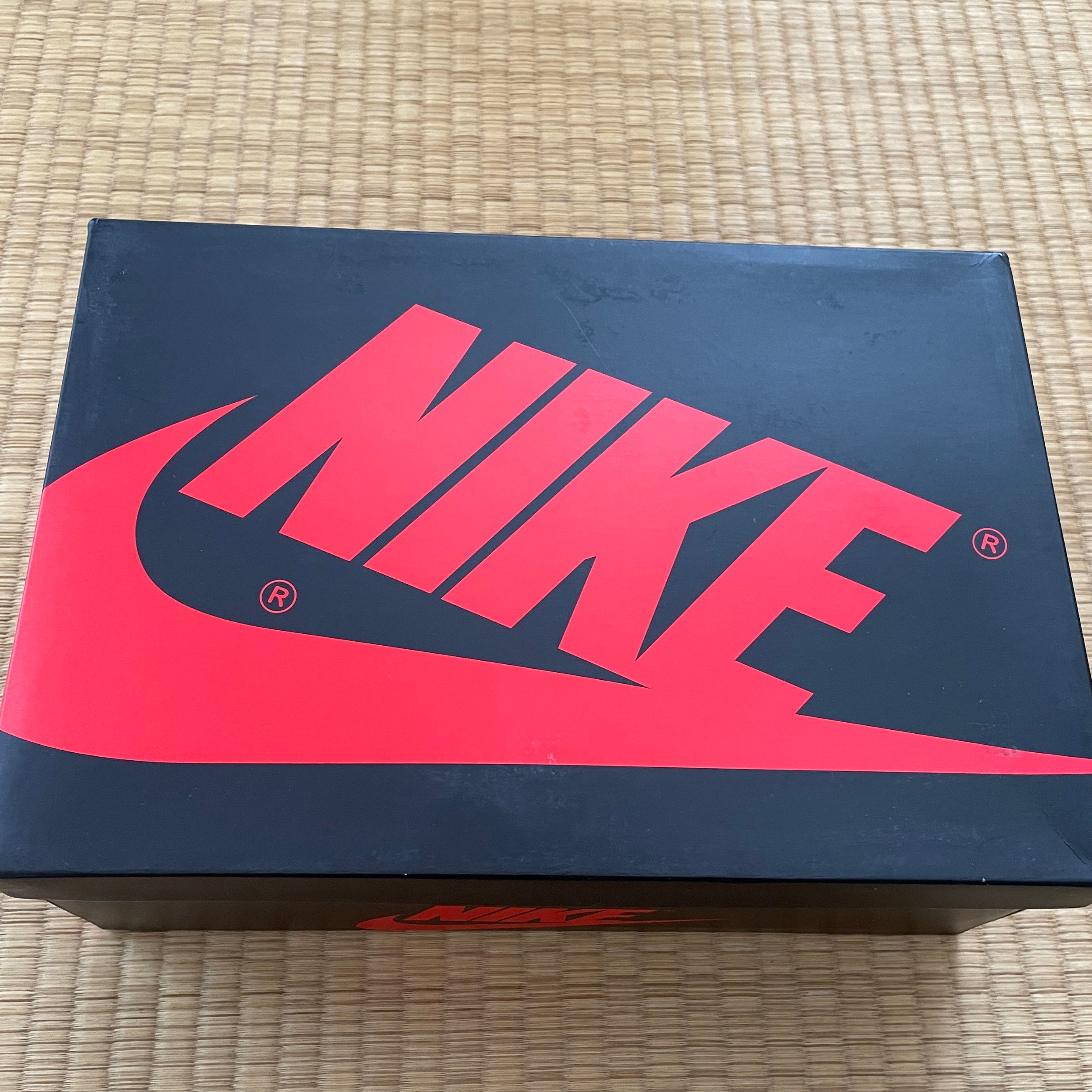 Price Drop!!! Coupon Eligible 26cm NIKE Air Jordan 1 Element GORE-TEX Berry 26cm