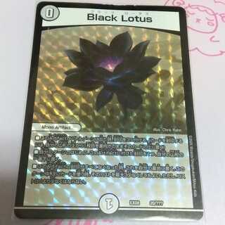 ブラックロータス(ジャンク品)