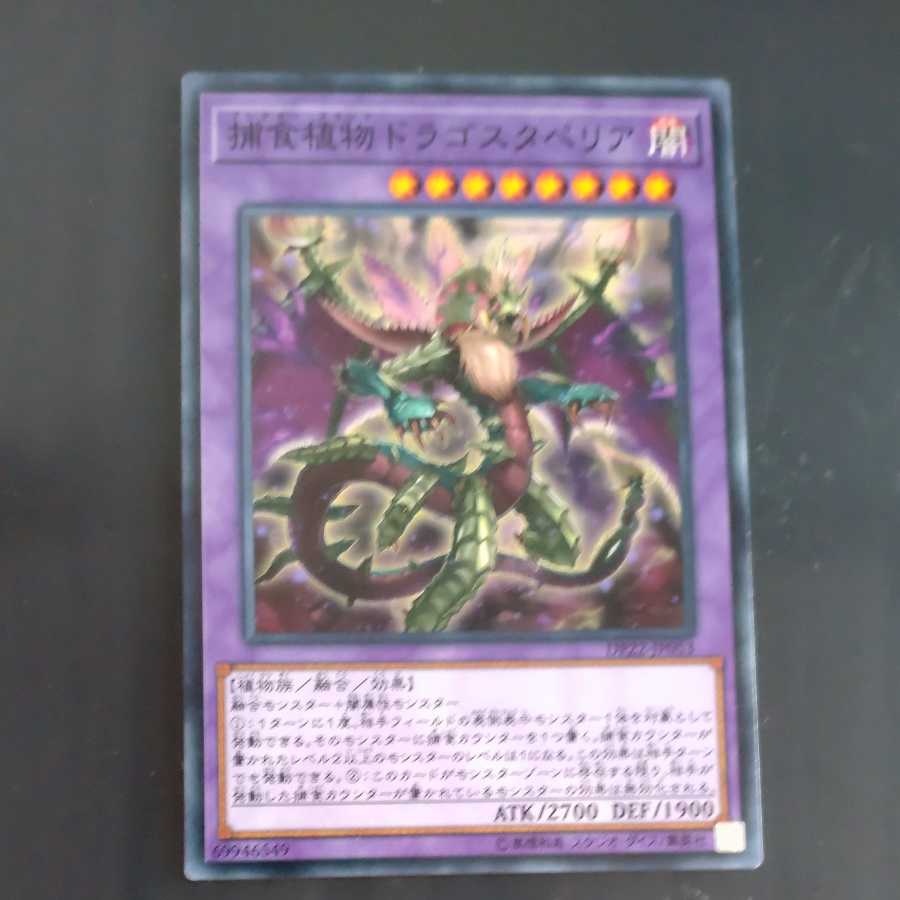 Predaplant Dragostapelia Normal [Mokurindo