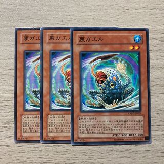 【100円セール】裏ガエル 3枚