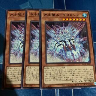 Ice Water Boat Aegilo Cassis Rare