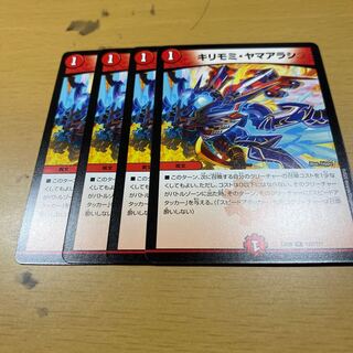 キリモミヤマアラシ　4枚