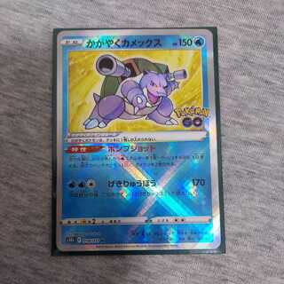 かがやくカメックス