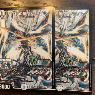 謎の頂Z-ファイル