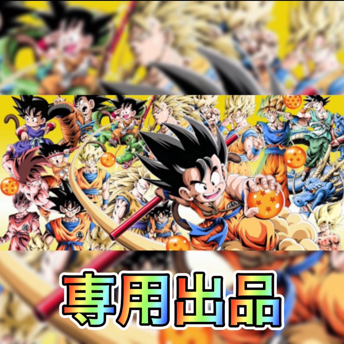 第5回 G.s様専用出品になります。 1枚