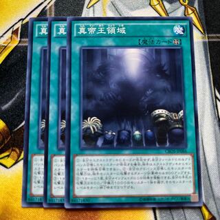 遊戯王　真帝王領域　ノーマル